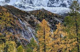 Happy Moose - Cosy Mont Blanc View apartment with sauna - Photo 44