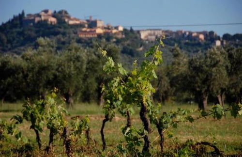 Huge Holiday Home in Marina di Castagneto Carducci near Sea - Foto 99