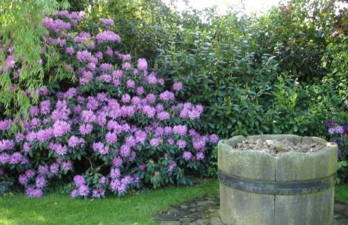 Holiday Home Großzügiges Haus mit traumhafter Gartenanlage by Interhome - Foto 25