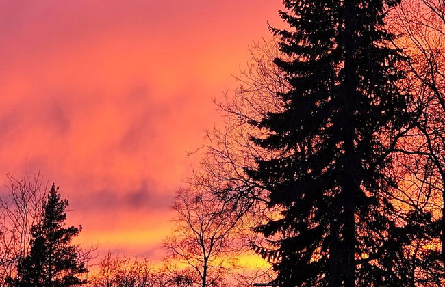 Priha Residence at Kirkkotie Premium Urban Living in Ilomantsi - Foto 34