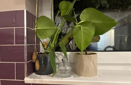 Cozy Four-Bedroom Home with Hot Tub, Garden, CONTRACTORS WELCOME - Close to Shops, Restaurants, Hospital and Park - Photo 23