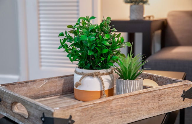 Stay Avenida Westshore - Photo 11