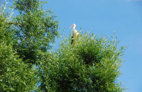 Beautiful holiday home in Masuria on river and lake - Foto 41