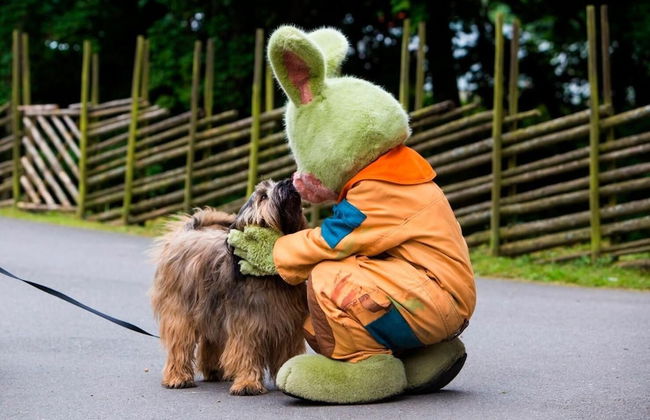 Lisebergsbyn Stugor - Photo 25