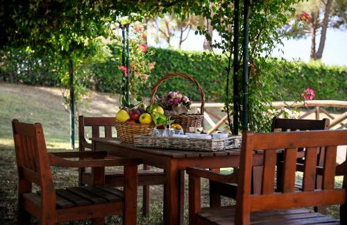 Tenuta Santa Cristina - Foto 37