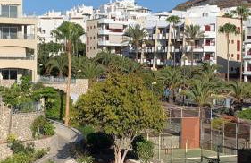 Apartamento Las Palmeritas Palm Mar Tenerife Sur - Foto 52