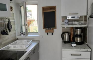 Chillkröte - Foto 67