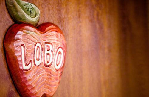 Agroturystyka Pod Jabłonią - Photo 22