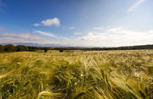 El Miracle - Photo 31