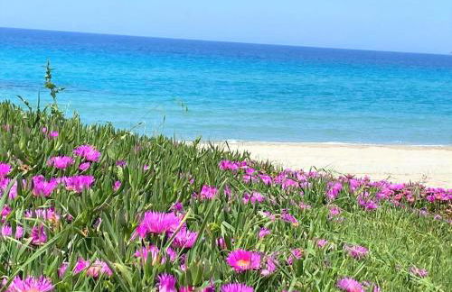 Villa Fourka on the beach - Photo 11