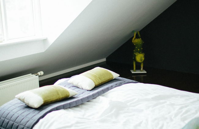 Hoepfner Historical House - Foto 9