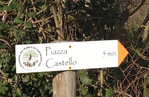 Villa Raniero Gatti - Foto 15