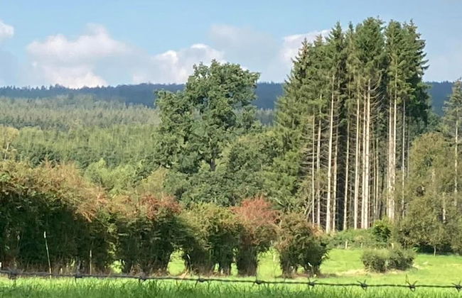 Coastal Retreat in Boltenhagen - Photo 26