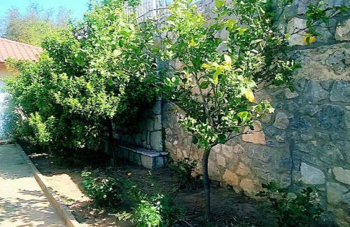 Μεζονέτα 5 υπνοδωμάτια, πλήρως εξοπλισμένη και με φορτιστή ηλεκτρικού αυτοκινήτου - Foto 11