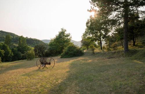 Mas au cœur de la Provence, paradis isolé à l'Etournelle - Photo 33