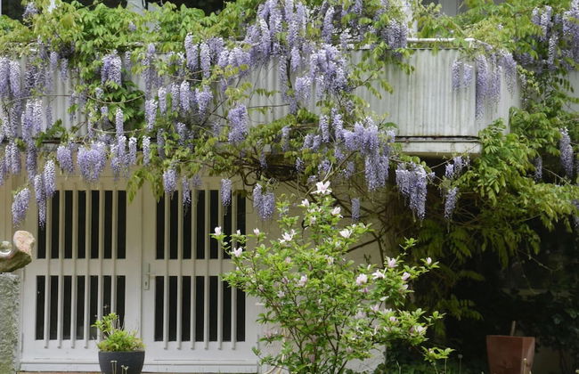 Flat in Eutin on the Kleiner Eutiner See Lake - Photo 55