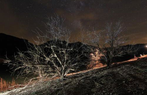 Mesoncillo NEO - Foto 53