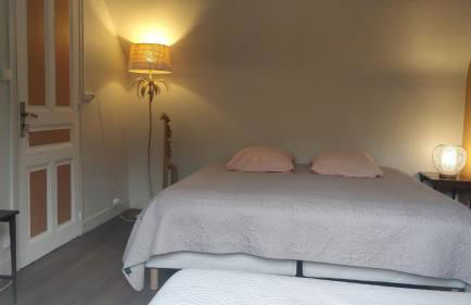 Les Amis de Beauval - Photo 29