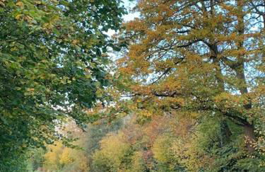 Mountain views in the heart of Brecon Town - Foto 71