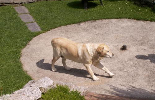 Ferienwohnung Sternkopf - Foto 26
