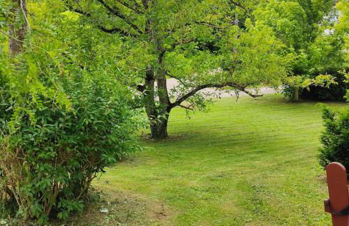 La maison au Vert - Foto 23