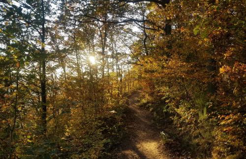 Ferienwohnungen Haus Talblick - Foto 59