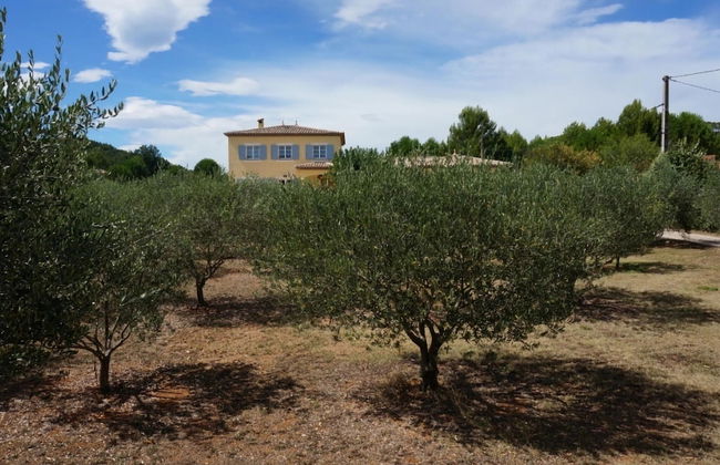 French Bastide, Located in an Olive Grove - Photo 32