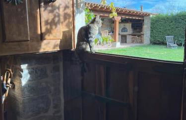 Apaizetxea, caserío en entorno rural entre Bilbao y Vitoria-Gasteiz - Foto 21