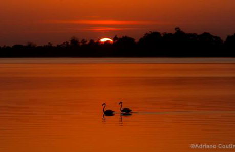 Ria de Aveiro White House - Foto 18