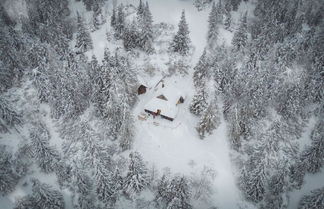 Koca Bistra - Velika planina - Foto 60