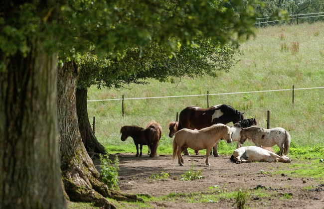 Peace, Nature & Comfort Combined - Photo 39