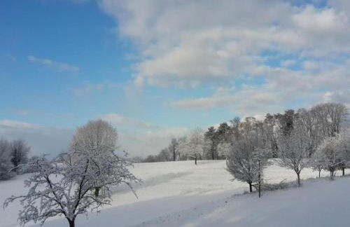 Ferienwohnung History in Herbolzheim nahe Zentrum - Foto 37
