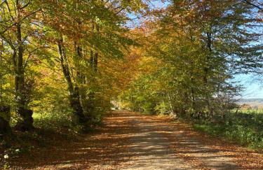 Landhausidylle - Photo 15