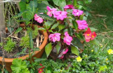 Tranquilidade e linda vista da lagoa - Foto 45