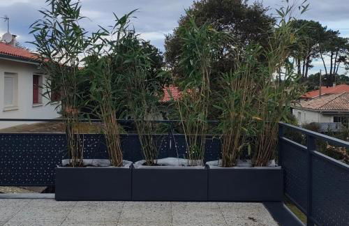 "L'Océan pour Voisin", gîte 5 à 6 personnes, 3 étoiles 3 épis dans maison avec terrasse de 34m carrés Plage du Métro à 1500 m agréé ANCV - Foto 59