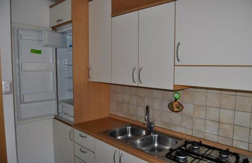 Silvano Fanti - Foto 4