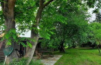 Ferienhaus Luna - Photo 21