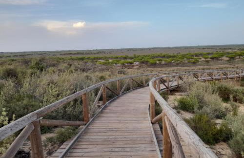 Apartamento cerca del mar - Foto 23