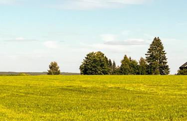 Apartment Mary Mehlmeisel - Foto 29