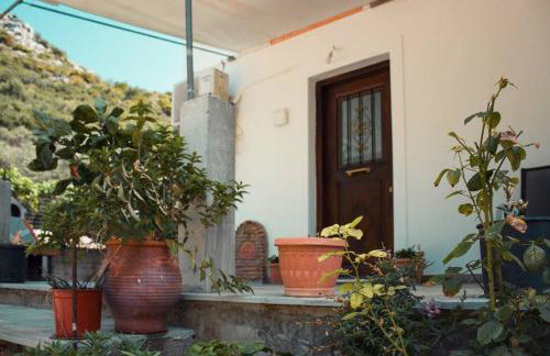 Seagull House - Photo 6