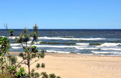 Apartament Ohar - Foto 15