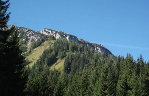 Ferienwohnungen Gästehaus Lärcheck - Foto 56