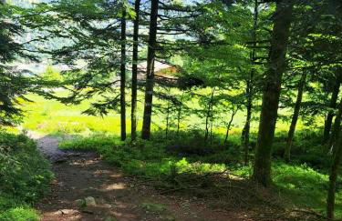 Chalet Le Belvédère, vue exceptionnelle dans les Hautes Vosges - Foto 46