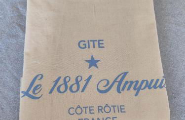 Le 1881 Ampuis - Foto 34