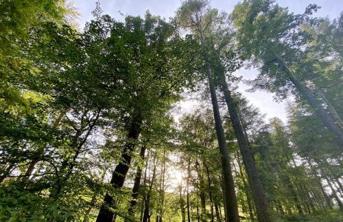 Balbeg Cottage - Photo 35