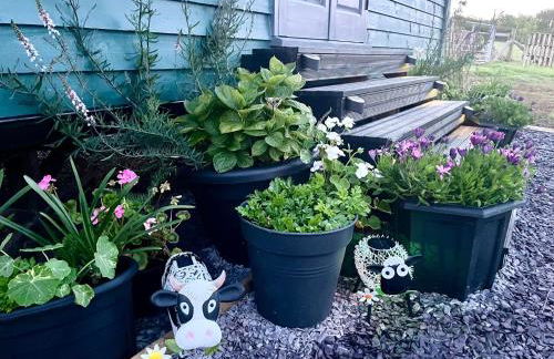 Shepherds Hut With Hot Tub, North Wales, Anglesey - Foto 7