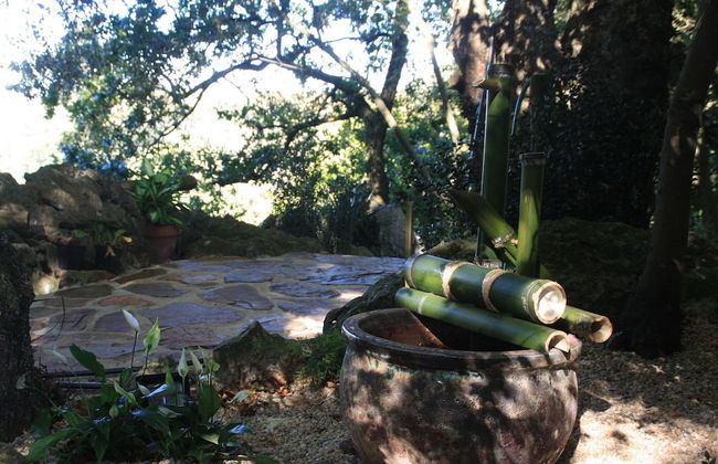 Domocantabria - Foto 25