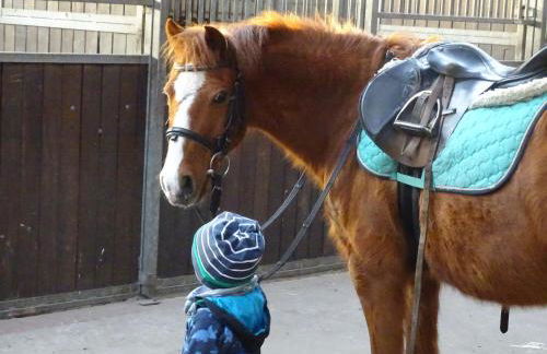 Wohlfühlurlaub auf dem Reit- und Ferienhof Goldberg - Foto 51