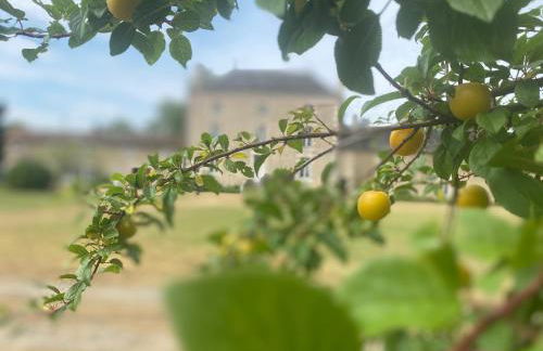 Domaine la Boulinière - La Biche - Foto 9