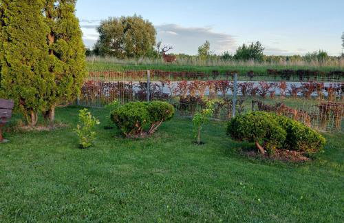 Apartamenty Pod Magnolią - Foto 33